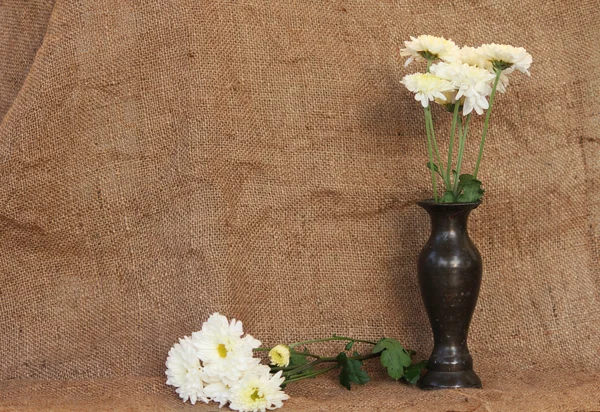 花瓶里的白花 — 图库照片