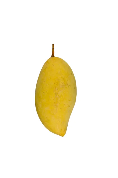 Mango amarillo — Foto de Stock