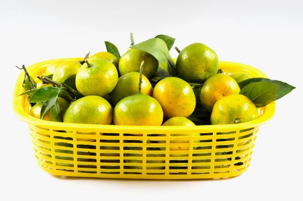 Thai mandarin orang on yellow basket — Stock Photo, Image