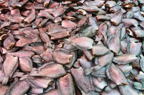 Dried fish. — Stock Photo, Image