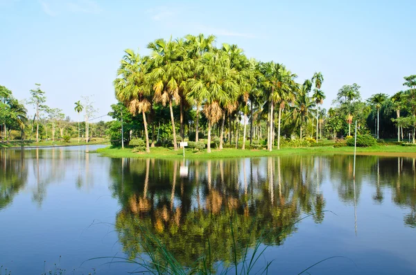 Yolunu kullanarak landscaped park — Stok fotoğraf