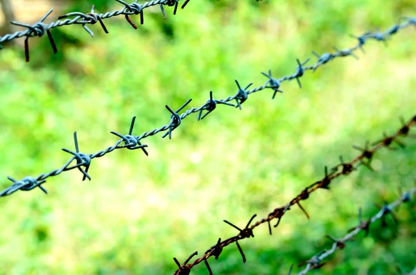 Barbed wire — Stock Photo, Image