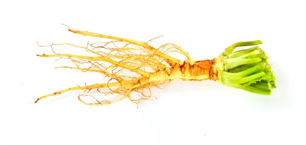 Celery roots — Stock Photo, Image