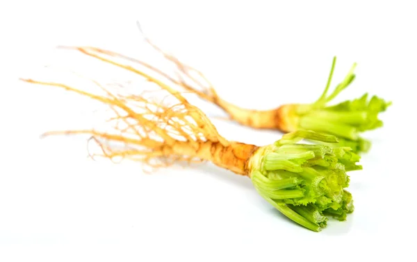 Celery roots — Stock Photo, Image