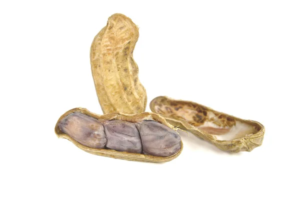 Boiled peanut on white background — Stock Photo, Image