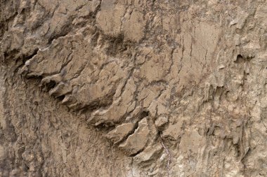 toprak dokusu arka planı. Kirli grunge dokusu beton duvar. Kuru zemin dokusu. Organik toprağa yakın çekim. Arkaplan olarak kullanılabilir. 