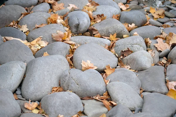 Duże Gładkie Kamienie Jesiennym Parku Szare Kamienie Jako Element Projektowania — Zdjęcie stockowe