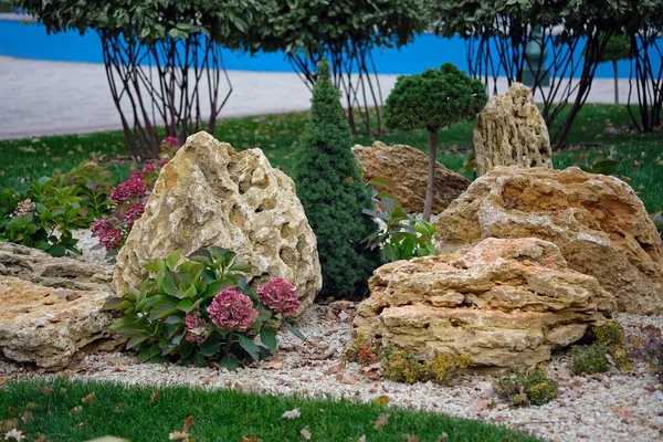 Zahradní Úpravy Městském Parku Kameny Mušlí Jehličnany Hortenzie Krásné Rostliny — Stock fotografie