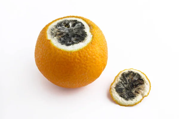 Orange Rotten White Background Spoiled Orange Peeled Rotten Orange Whole — Foto Stock