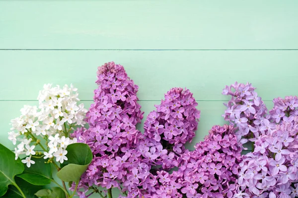 Сиреневые Цветы Белого Фиолетового Цветов Фоне Зеленых Деревянных Досок Сирень — стоковое фото