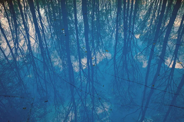 Odbicie Lasu Wysokich Drzew Błękitnej Wodzie Jeziora Drzewa Bez Liści — Zdjęcie stockowe