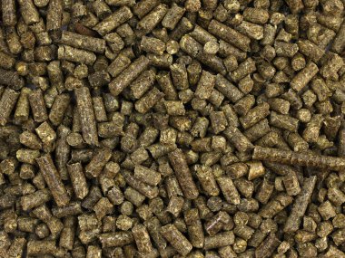 Biyoyakıtı kapat. Kedinin kumluk arka planı için tahıl ambarı. Granüllerde çam emici dolgu. 