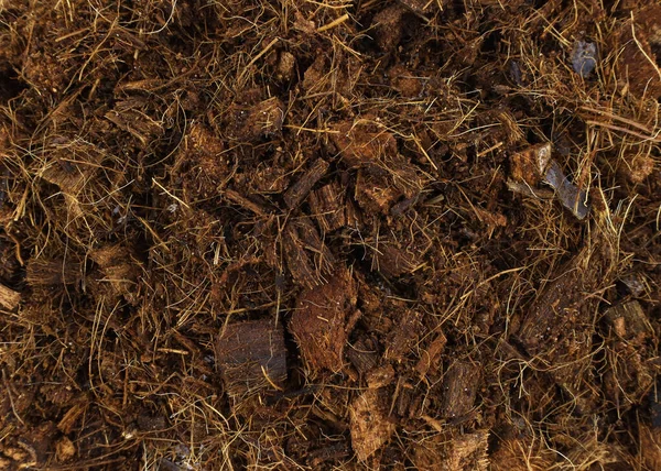 Coconut substrate close up. Coconut fiber background. Coconut fibers for planting plants with soil.