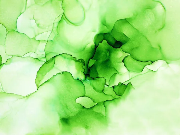 Abstract Green Watercolor Alcohol Ink Flow Paint Modern Hand Painted — ストック写真