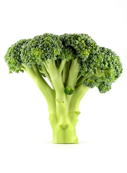 Verse rauwe broccoli geïsoleerd op witte achtergrond — Stockfoto