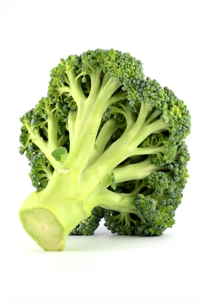 Brocoli cru frais isolé sur fond blanc — Photo