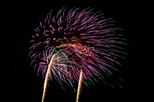 An image of exploding fireworks at night — Stock Photo, Image