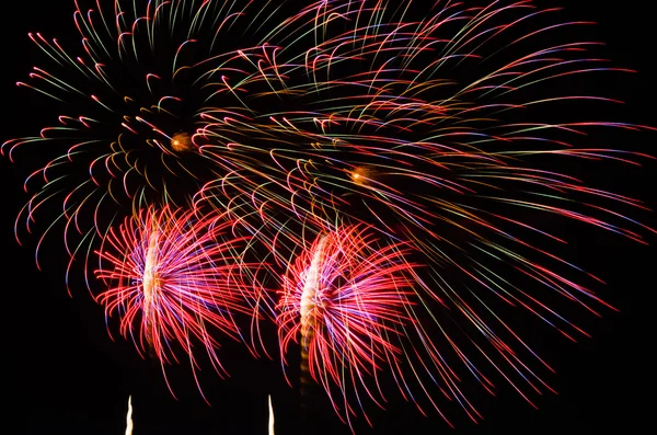 An image of exploding fireworks at night — Stock Photo, Image