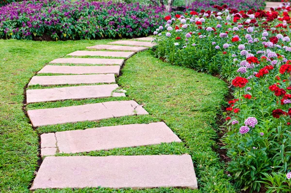 Walkway in the flowers garden — Stock Photo, Image