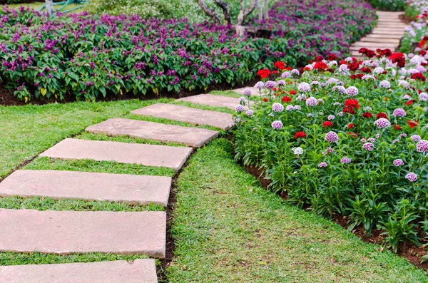 Walkway in the flowers garden — Stock Photo, Image