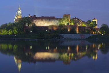 yaktı-up Polonya, krakow, wawel royal castle