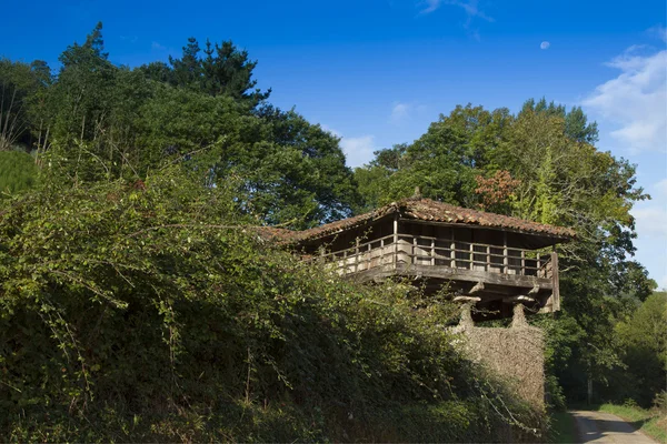 Spain, Asturias, Cornellana, horreo - traditional barn — Stock Photo, Image