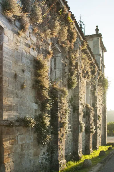 Spagna, Asturie, Cornellana, Muro della Chiesa abbaziale — Foto Stock