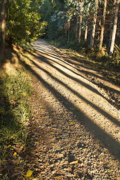 Španělsko, Galicie, camino de santiago — Stock fotografie