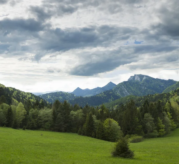 Σλοβακία, Πολωνία, pieniny οροσειρά με τρεις korony κορυφή — Φωτογραφία Αρχείου