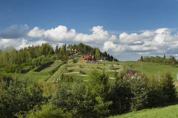 Pologne, Montagnes Pieniny, Palenica — Photo