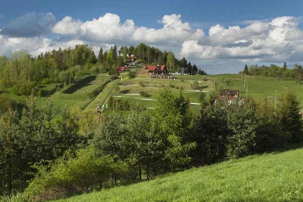 Pologne, Montagnes Pieniny, Palenica — Photo