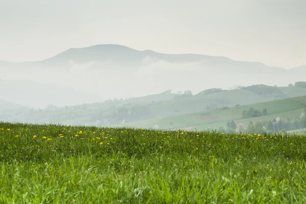 Polonia, Montañas Beskidy, Primavera, Niebla — Foto de Stock