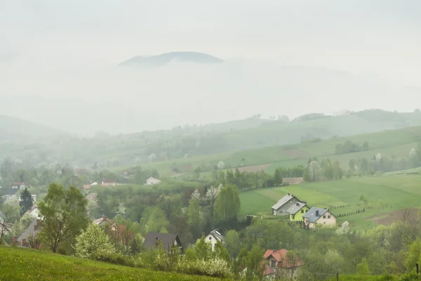 Polonia, Montañas Beskidy, Primavera, Niebla —  Fotos de Stock