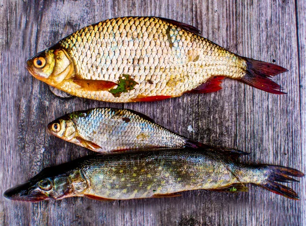 Tre pesci su un tavolo — Foto Stock