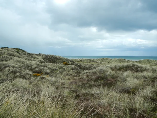 Highland äng landskap — Stockfoto