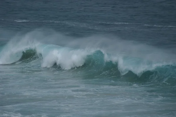 The perfect wave — Stock Photo, Image