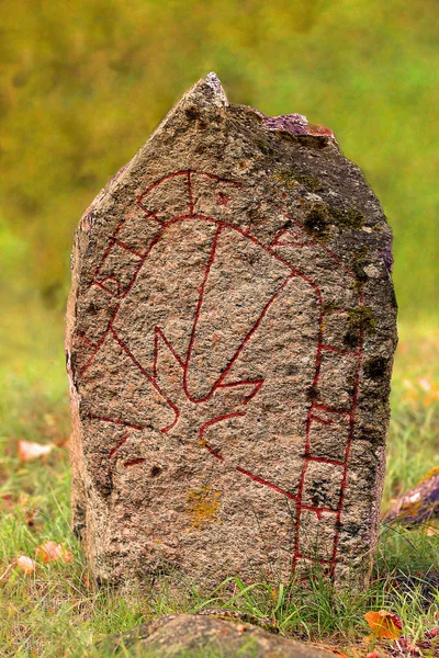 Runestone closeup içinde — Stok fotoğraf