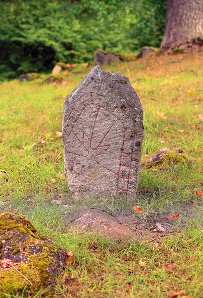 Runestone bir çayırda — Stok fotoğraf