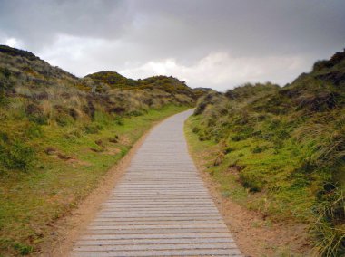 kavisli ahşap yürüme yolu