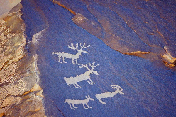 Pintura de caverna animal — Fotografia de Stock