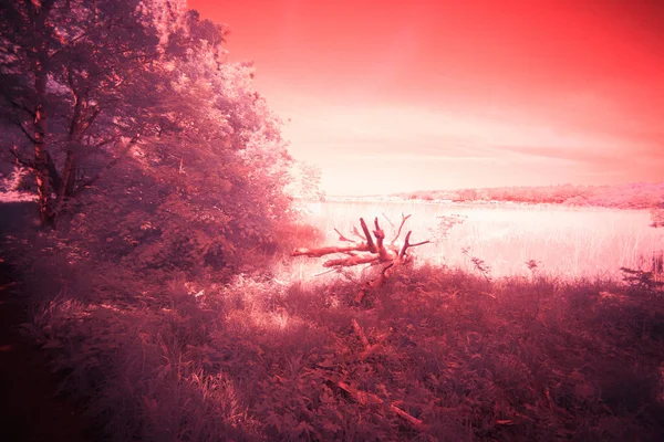 Stora Amundsön Naturreservat Infraröd — Stockfoto