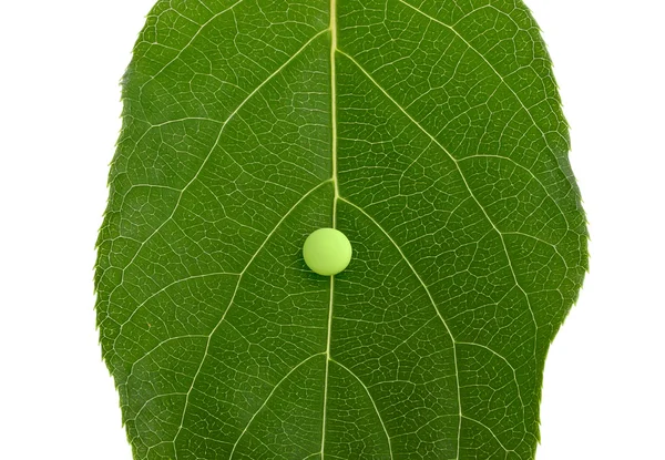 Pigułka na zielonym liściu — Zdjęcie stockowe