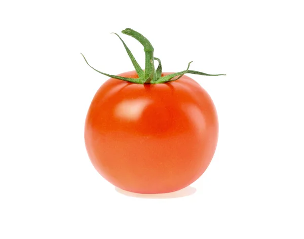 Rote Tomate — Stockfoto