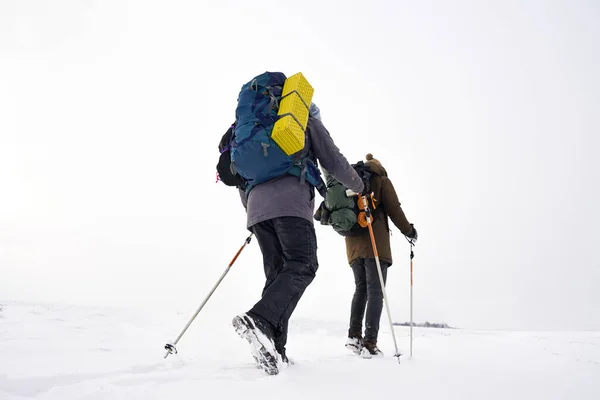 Kış Kıyafetli Iki Adam Karda Yürüyorlar Kontrol Kutbuna Kış Seferi — Stok fotoğraf