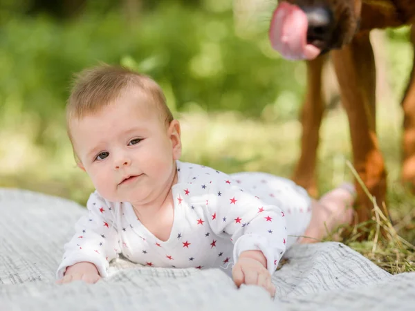 Big Dog Cute Month Old Baby Crawling Garden — стоковое фото