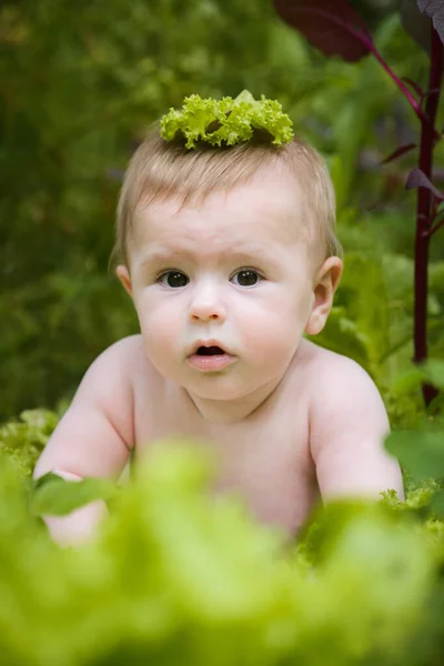 Cute Funny Smiling Month Old Baby Crawling Garden Surrounded Cabbage — Fotografia de Stock