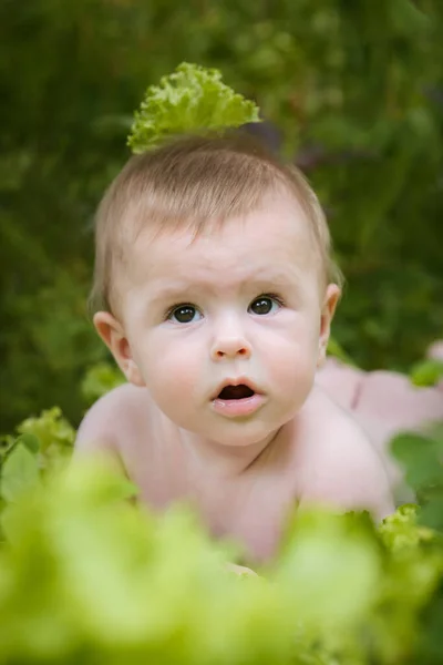 Lindo Divertido Sonriente Bebé Meses Edad Arrastrándose Jardín Rodeado Ensalada —  Fotos de Stock