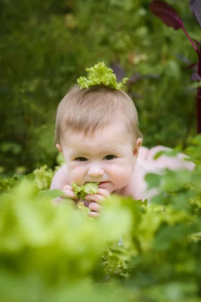 Cute Funny Smiling Month Old Baby Crawling Garden Surrounded Cabbage — стоковое фото