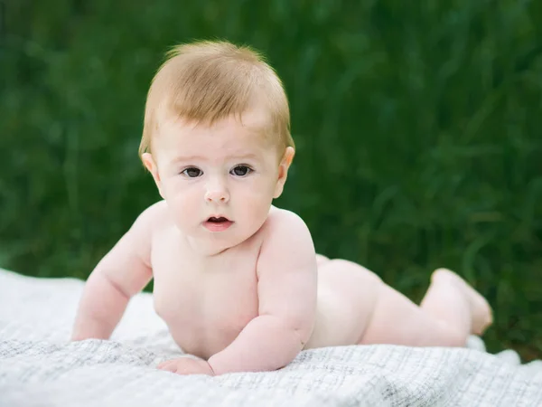Cute Funny Naked Month Old Baby Crawling Summer Garden — Stock Photo, Image
