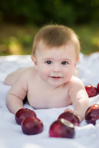 Cute Smiling Month Old Baby Crawling Garden Surrounded Apples — 스톡 사진